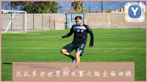 厄瓜多尔世界杯决赛之路全面回顾 关键战役与核心球员表现解析