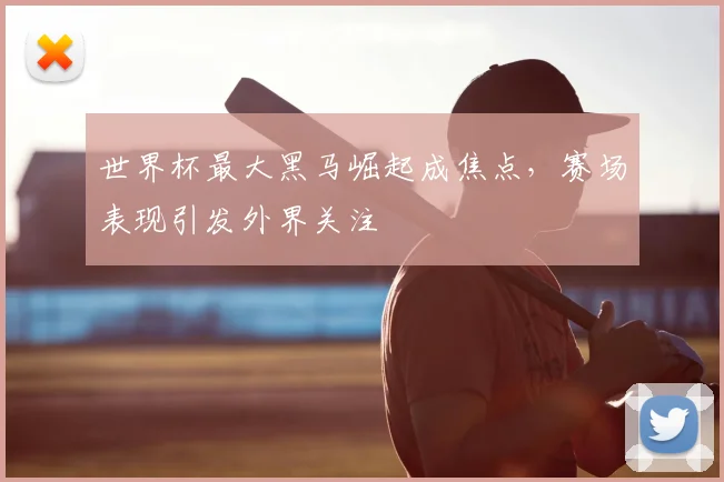 世界杯最大黑马崛起成焦点,赛场表现引发外界关注