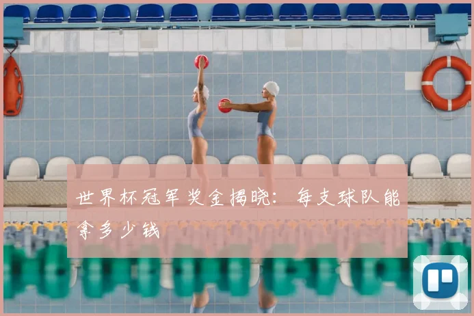 世界杯冠军奖金揭晓:每支球队能拿多少钱