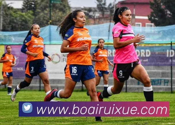 emc体育在线登录(中国)官方网站登录入口APP 封面图